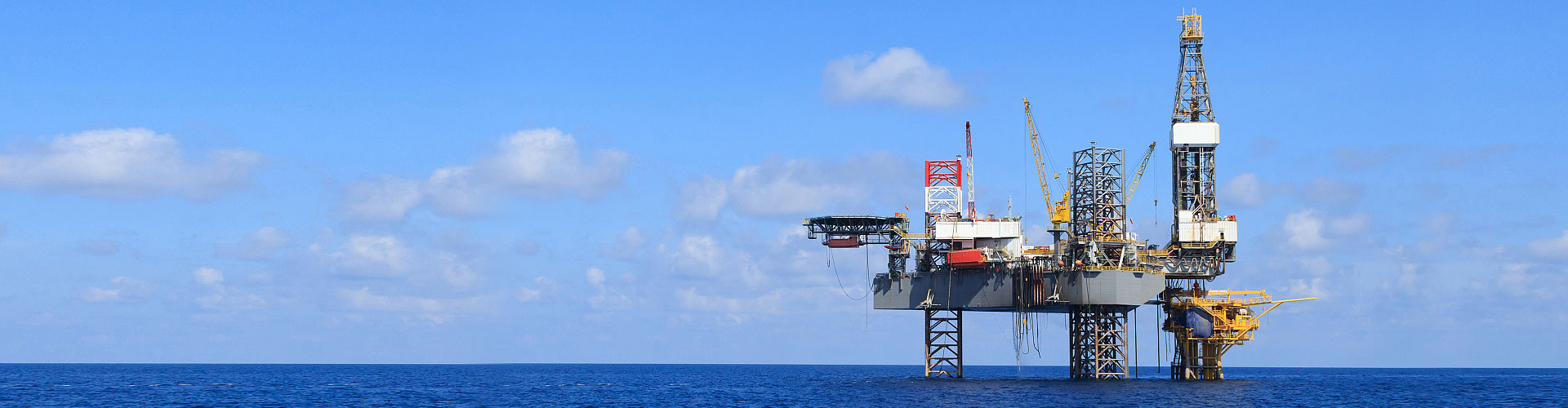 項目案(àn)例 電腦(nao)端