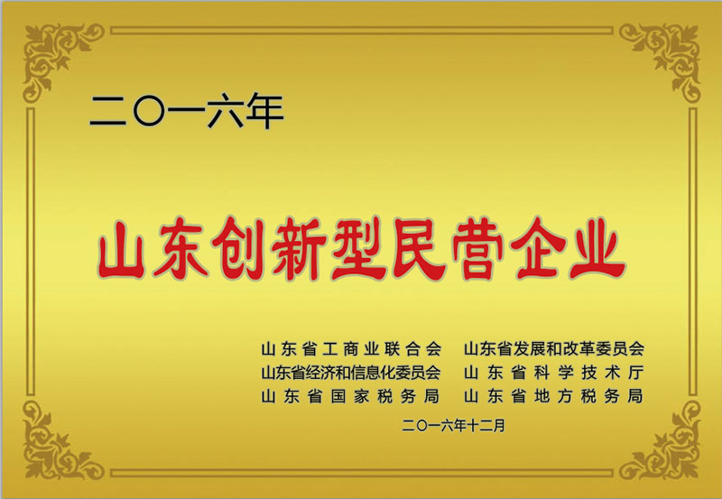山東(dōng)創新型民營(ying)企業.jpg