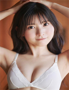 掩护电视剧