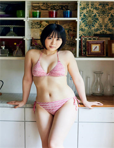 刘伯承元帅