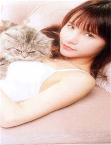 2012世界末日在线